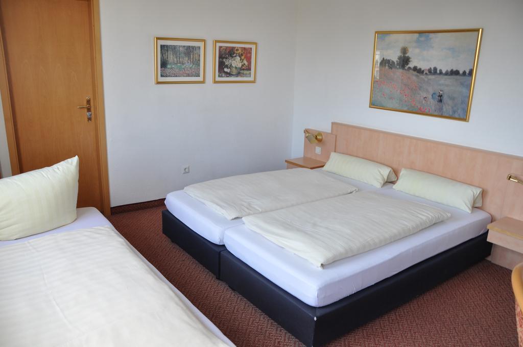 Hotel Hornung Darmstadt Rum bild